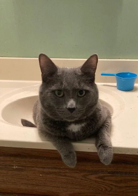 Mansfield thumbnail 3