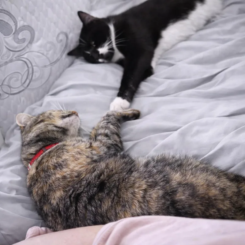 Mama Calypso thumbnail 2