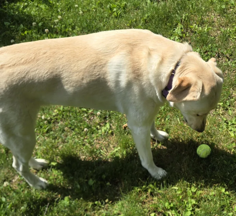 Izzy thumbnail 5