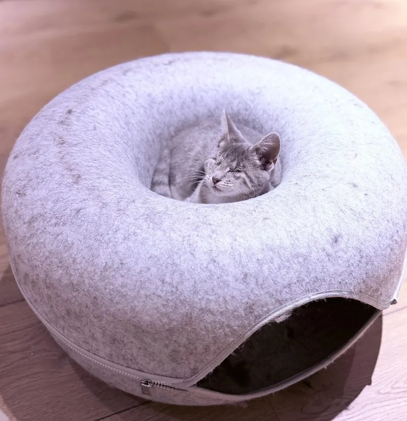 Roomba thumbnail 5