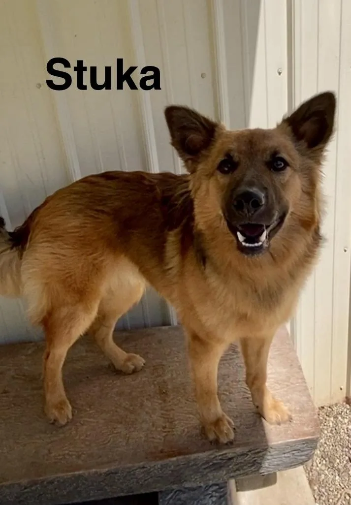 Stuka thumbnail 2