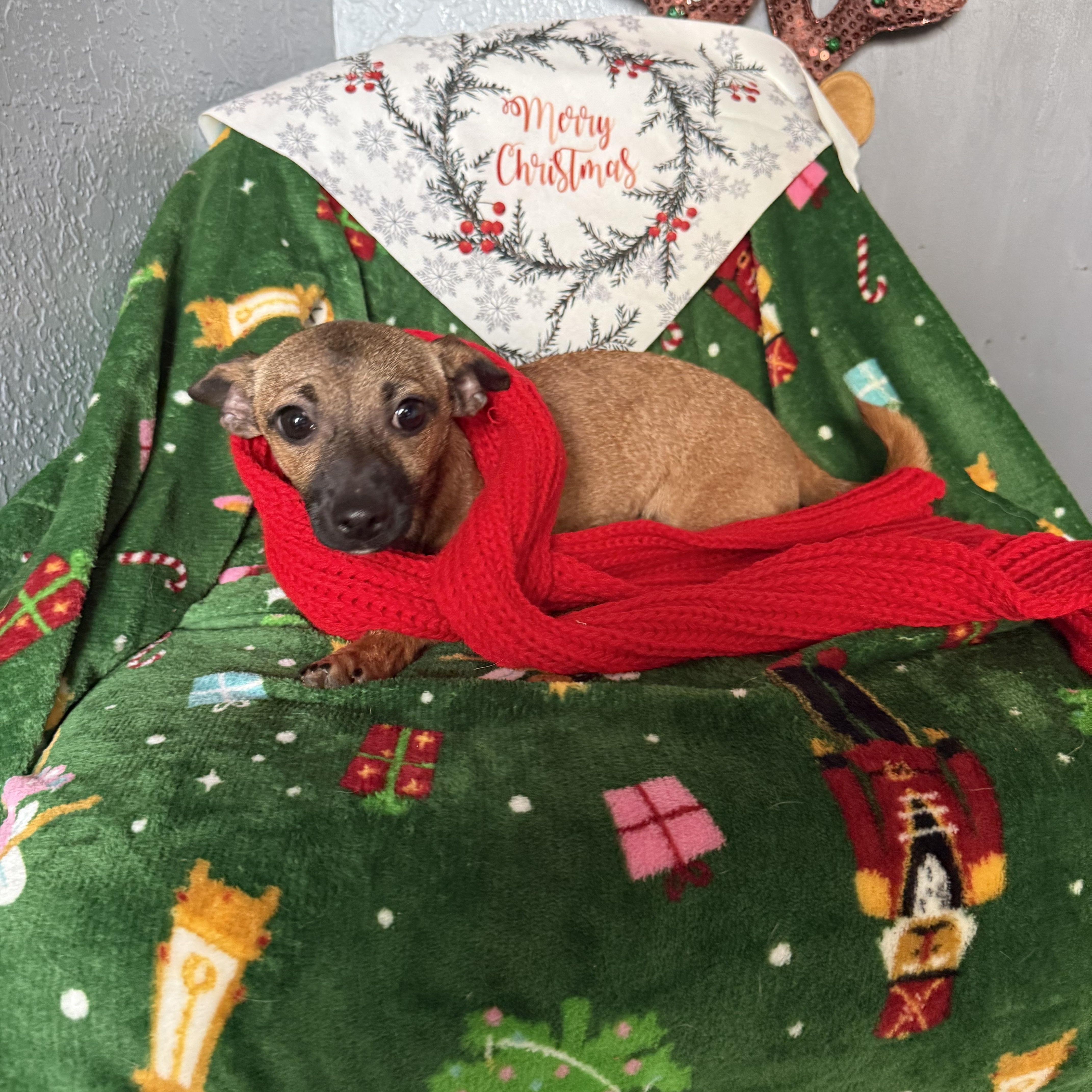 Jasmine Bailey thumbnail 2