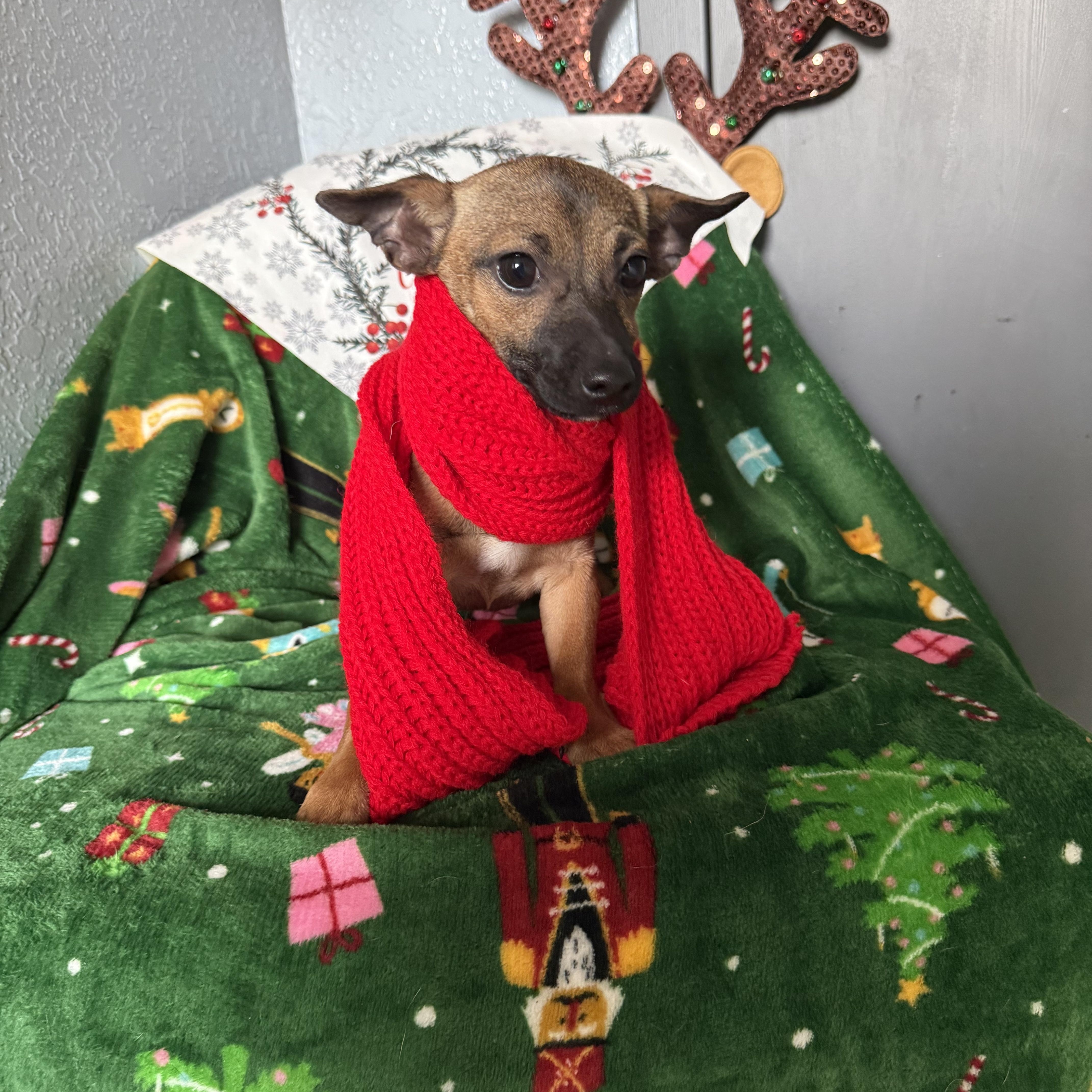 Jasmine Bailey thumbnail 3