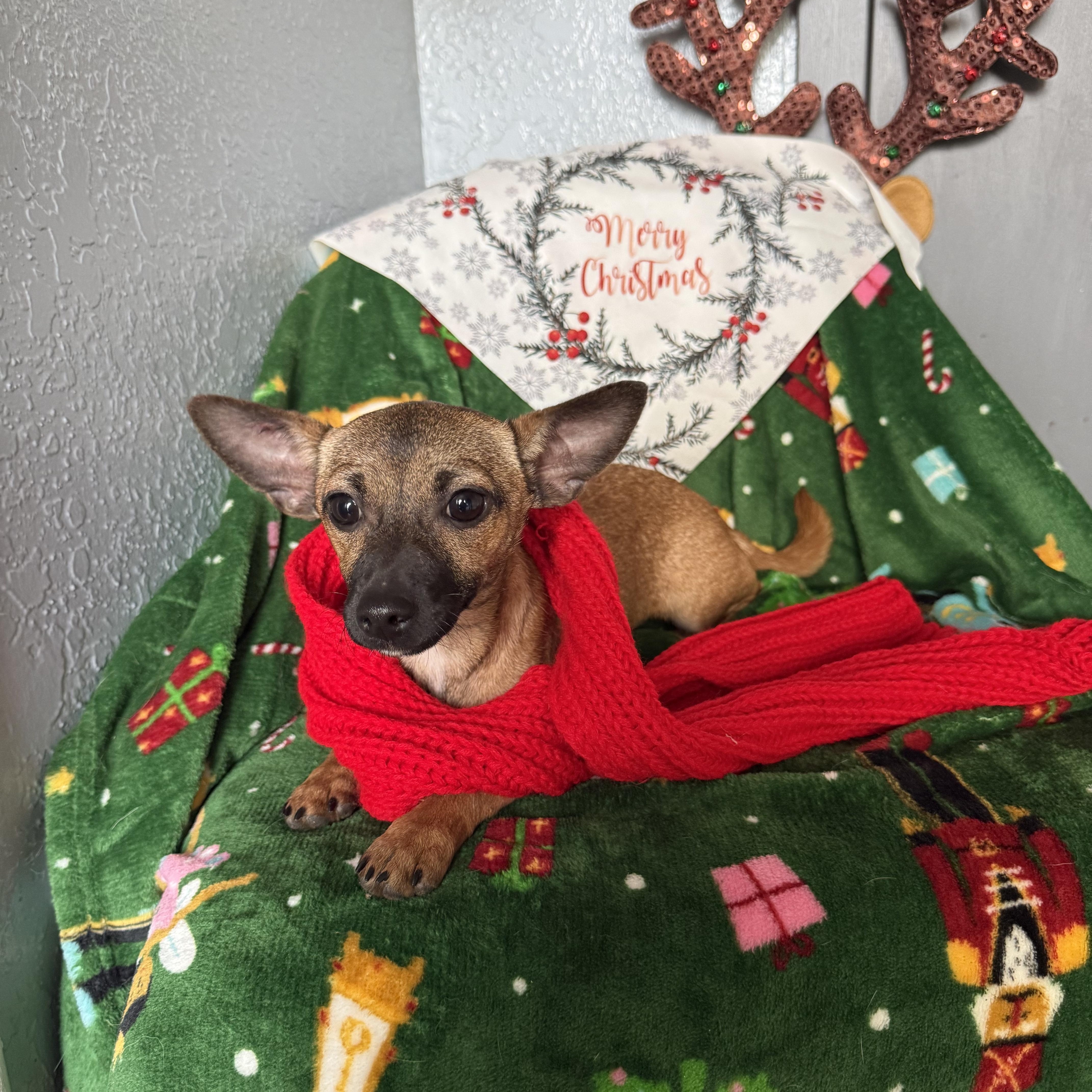 Jasmine Bailey thumbnail 4