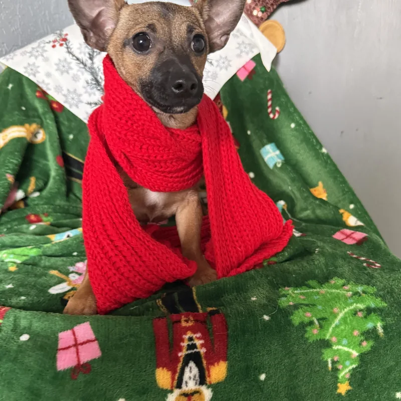 Jasmine Bailey thumbnail 5