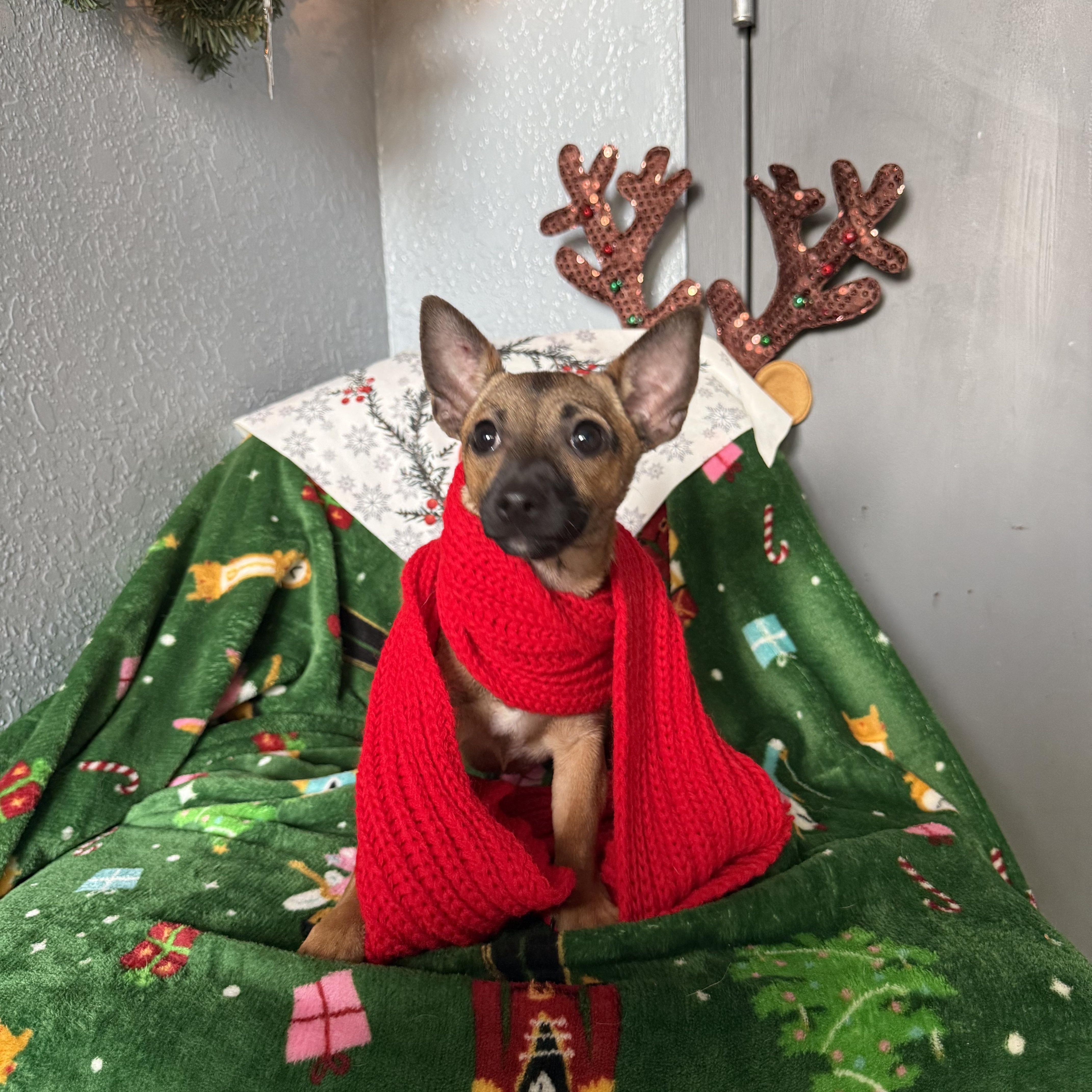 Jasmine Bailey thumbnail 6