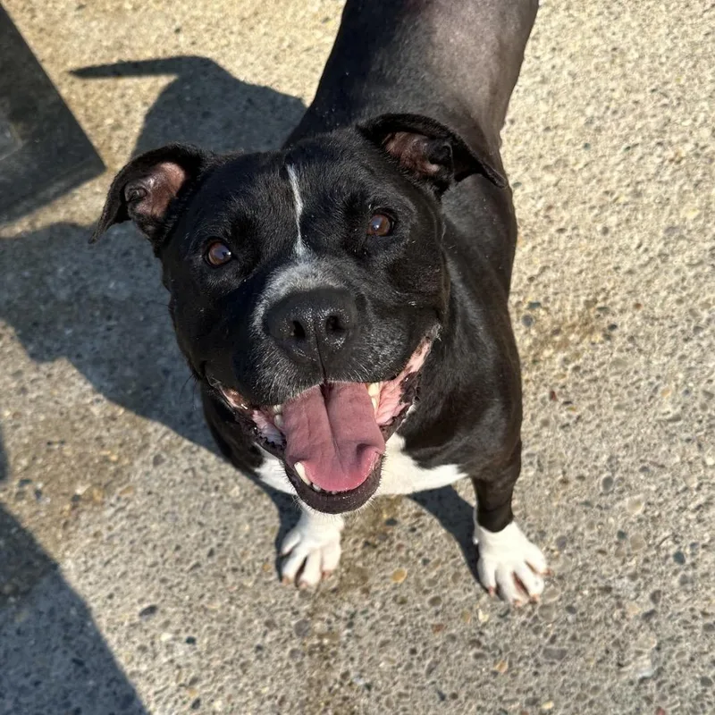 Princess Glittersparkles thumbnail 2