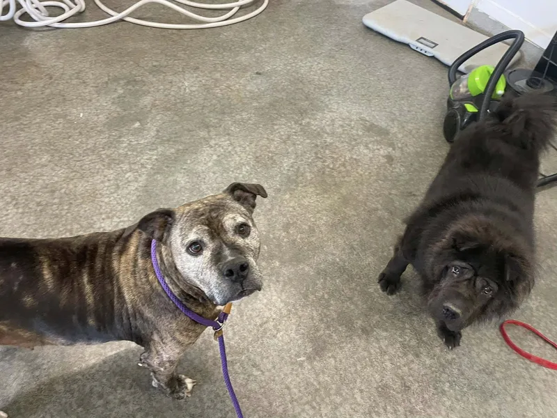 Mcgriddle thumbnail 2