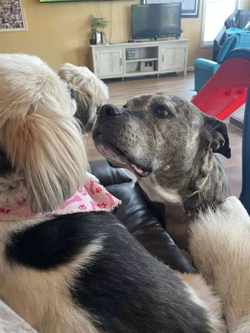 Mcgriddle thumbnail 3