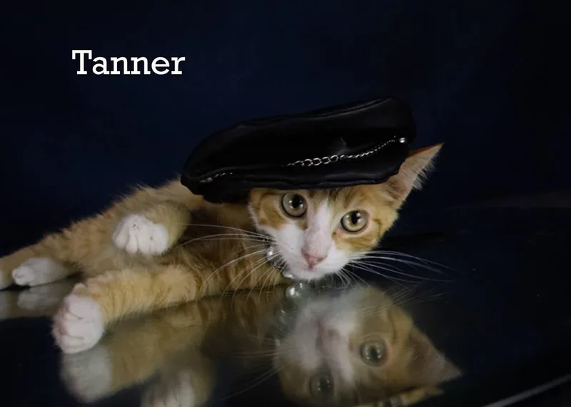 Tanner thumbnail 2