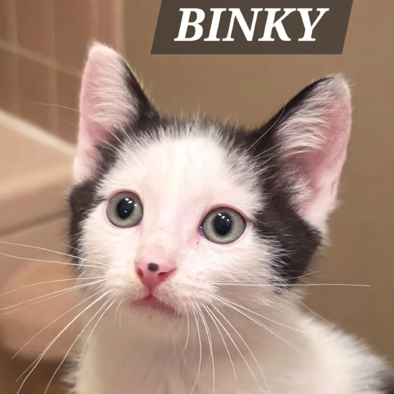 Binky