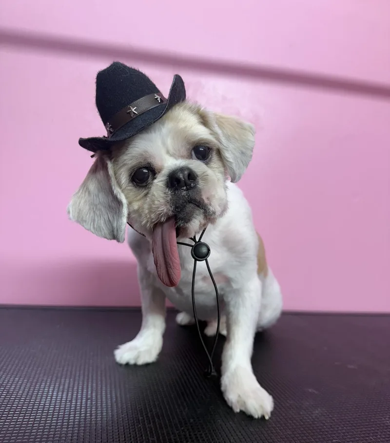 Wade Pool thumbnail 2