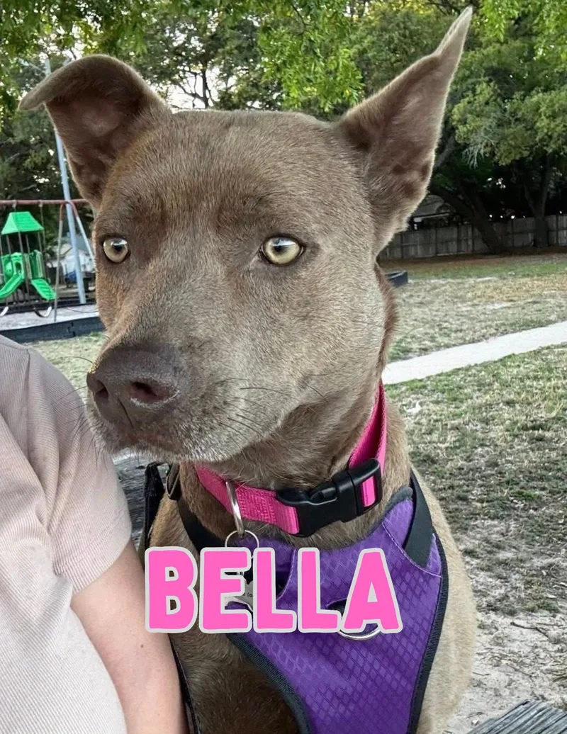 Bella .