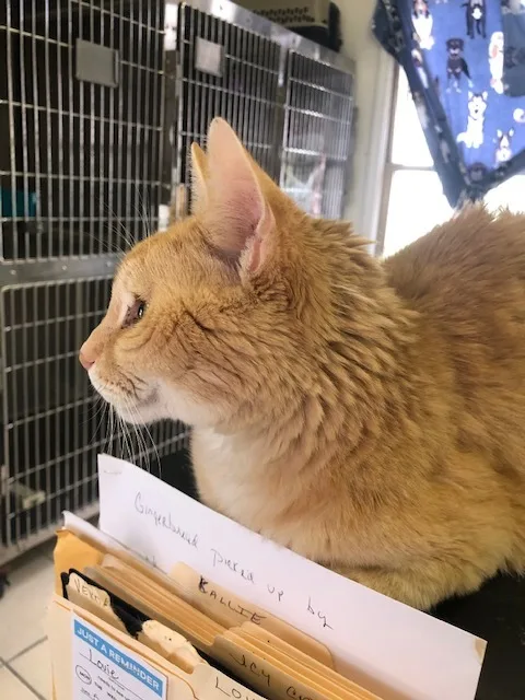 Buddy!  Kenny's Son thumbnail 2