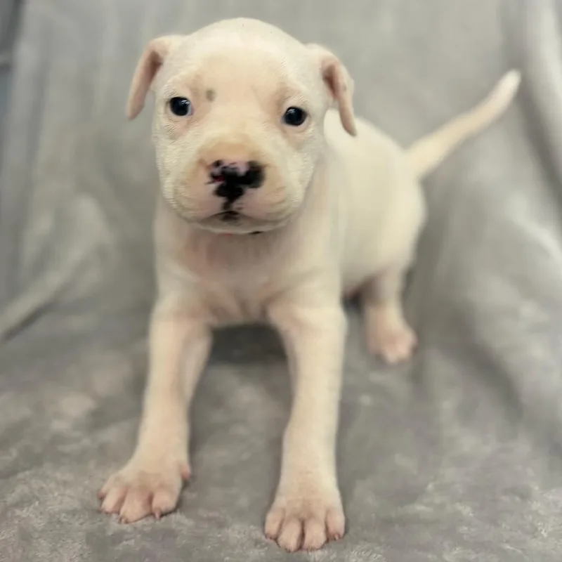 Milky Way thumbnail 2