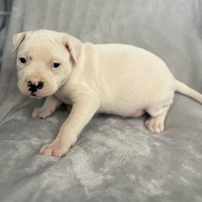 Milky Way thumbnail 3