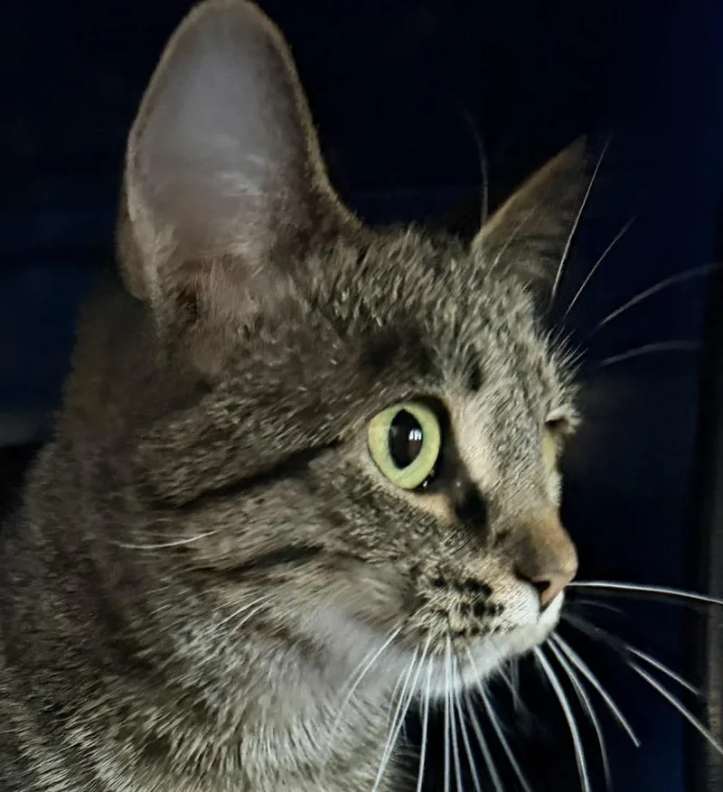 Sally thumbnail 4