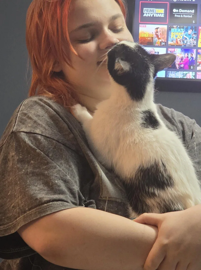 Butter Cookie thumbnail 2
