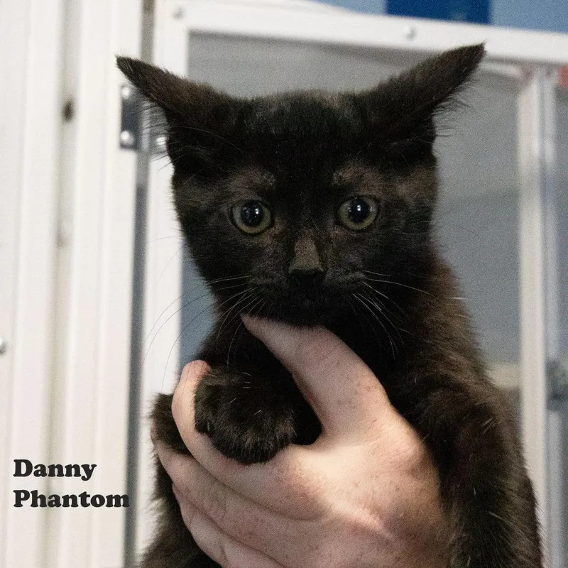 Danny Phantom thumbnail 2