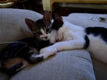 Delilah thumbnail 2