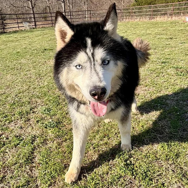 Victor  Missouri Mr thumbnail 3