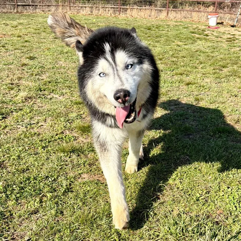 Victor  Missouri Mr thumbnail 4