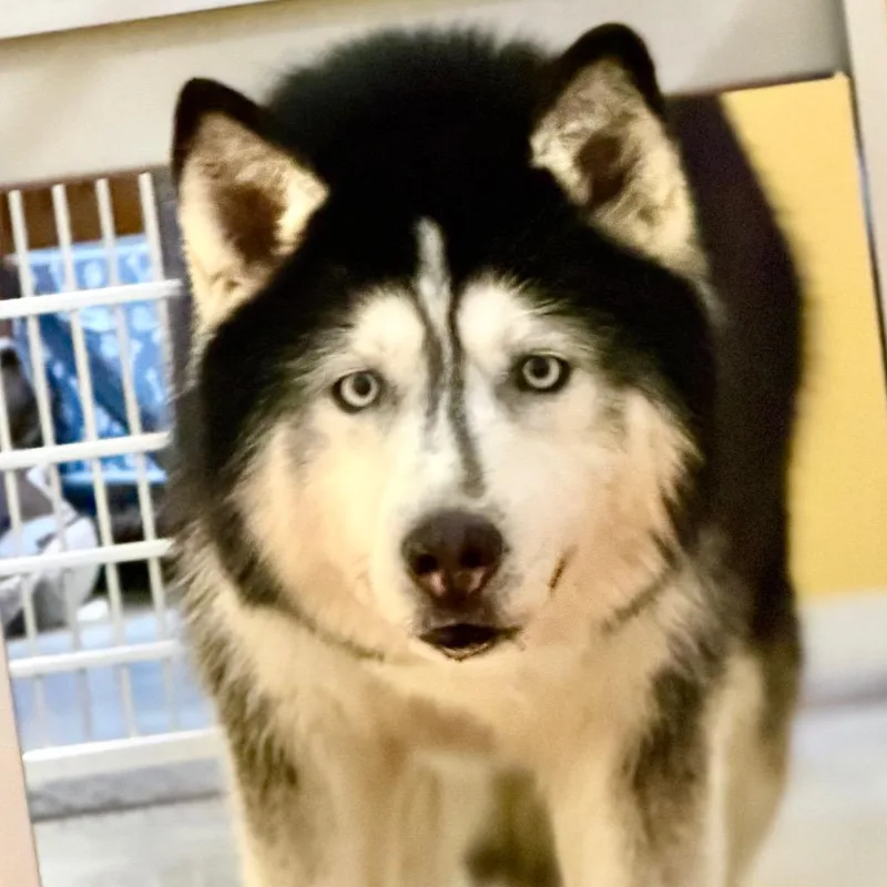 Victor  Missouri Mr thumbnail 5