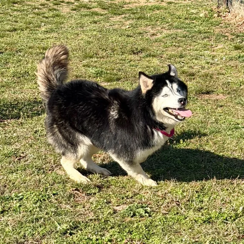 Victor  Missouri Mr thumbnail 6