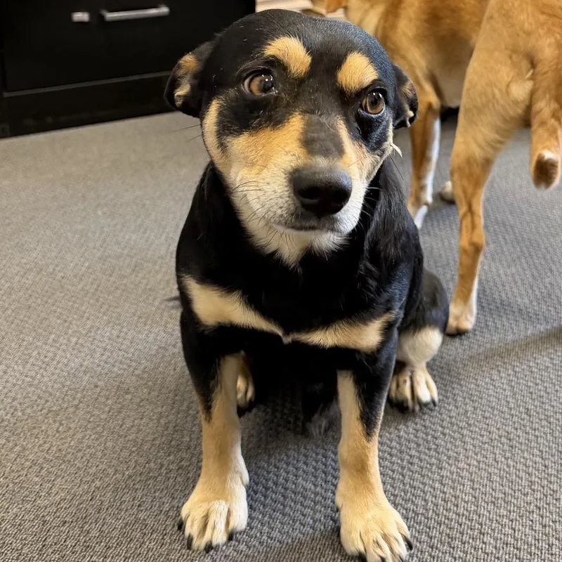 Nelson C thumbnail 2