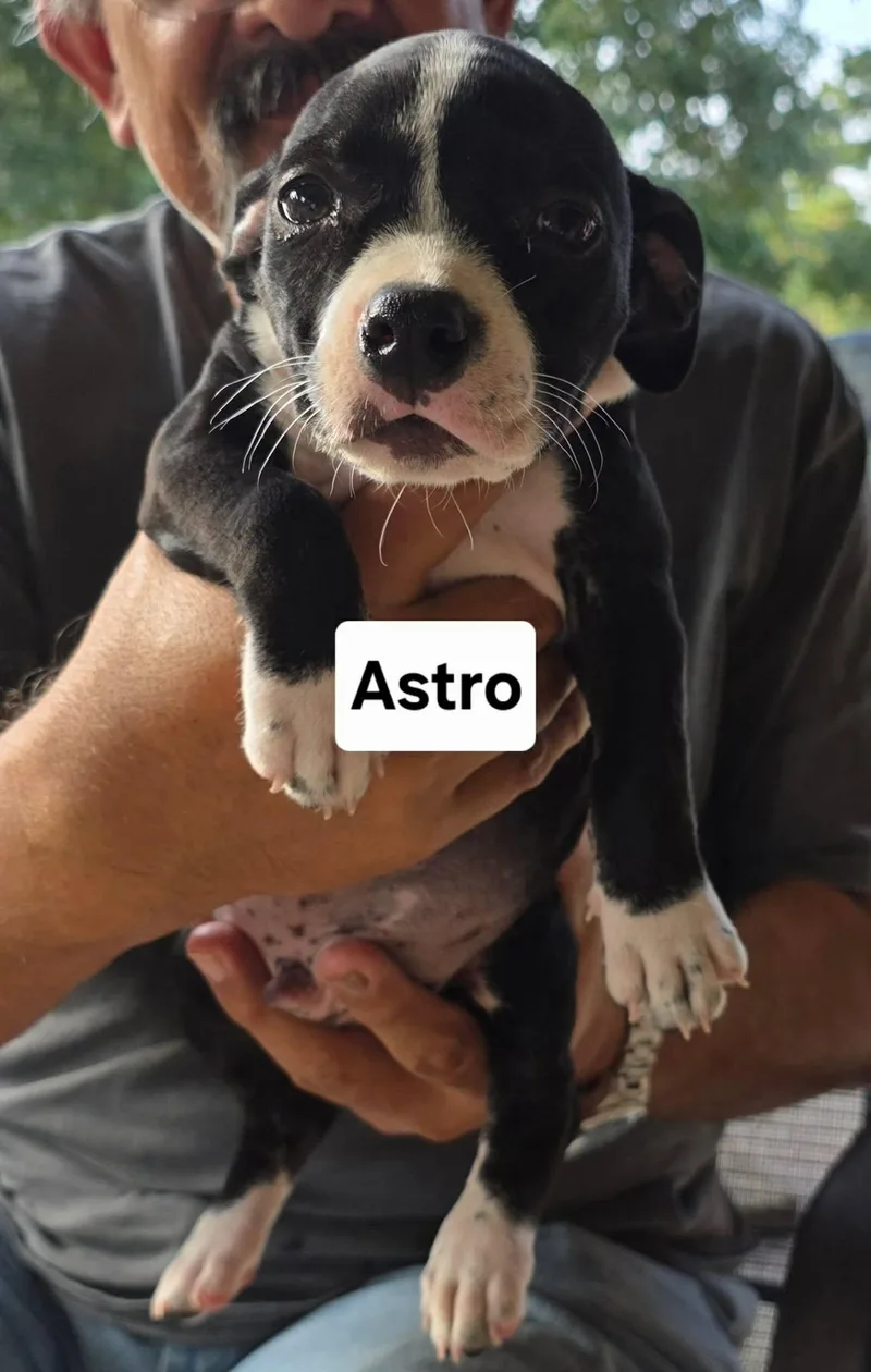 Astro thumbnail 2