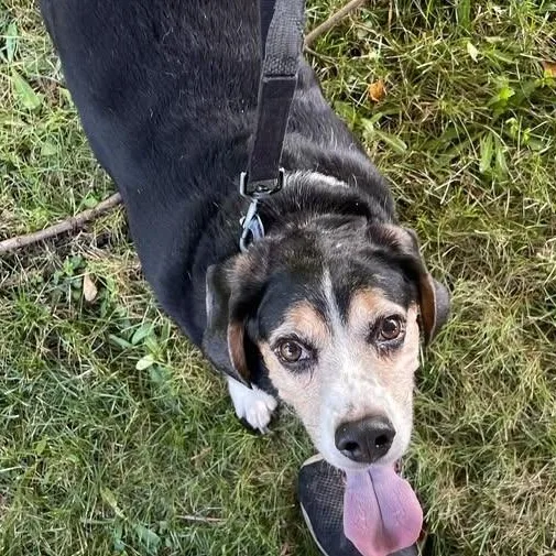 Buster