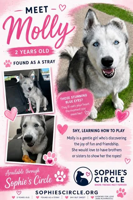 Molly thumbnail 2