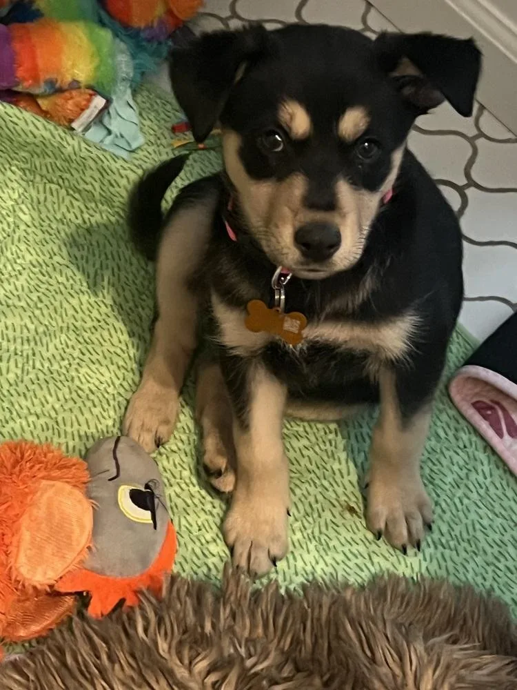 Ellen