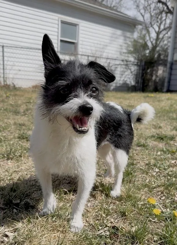 Miss Clementine thumbnail 2