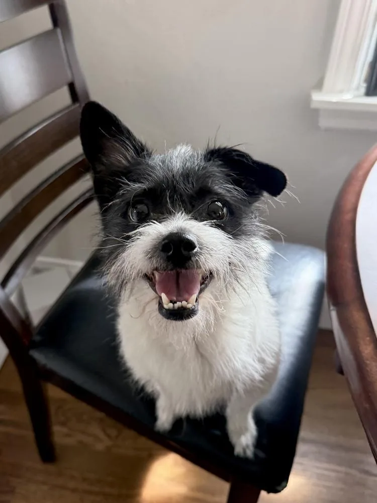 Miss Clementine thumbnail 6