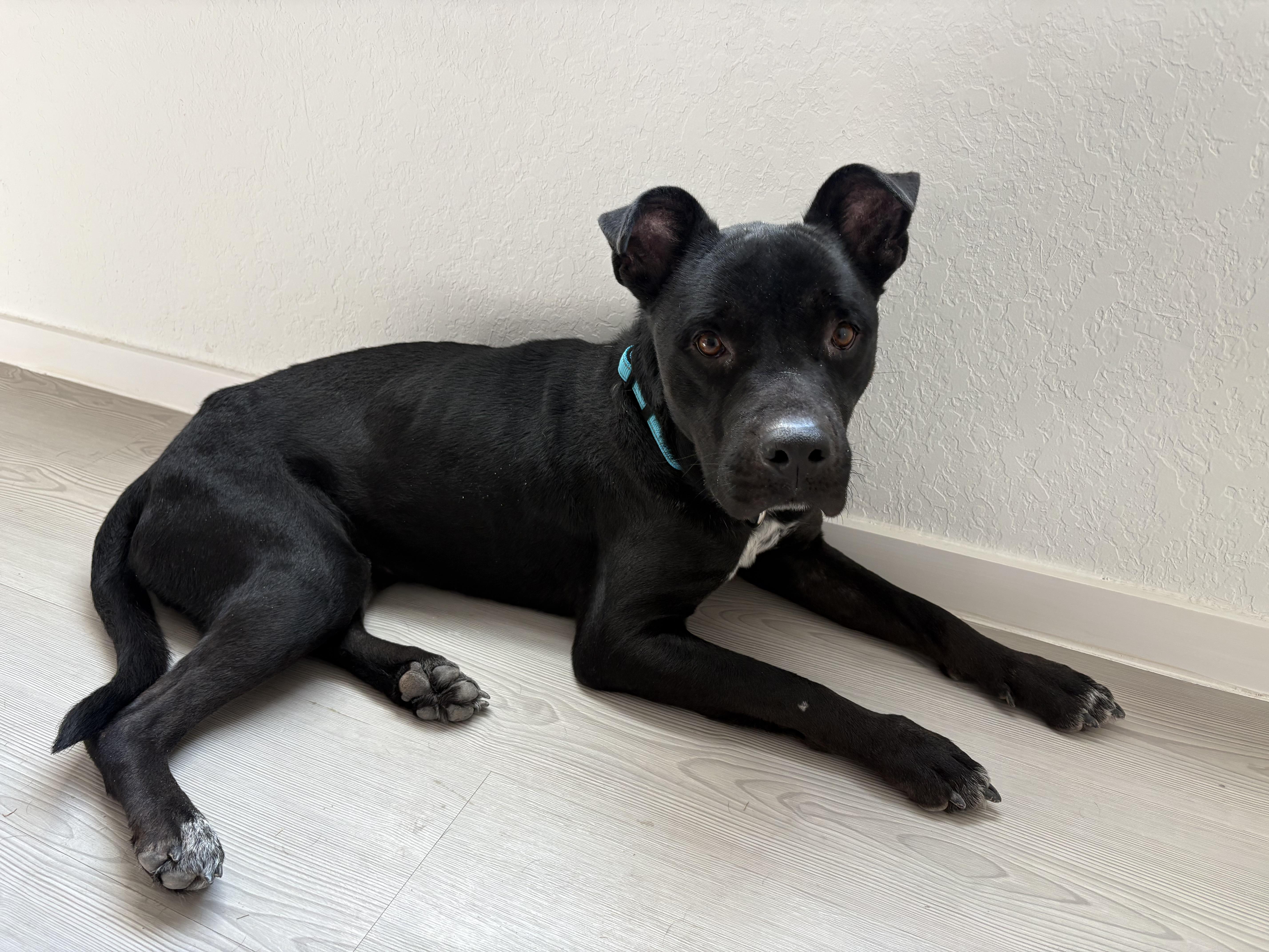 Baby Boy thumbnail 2