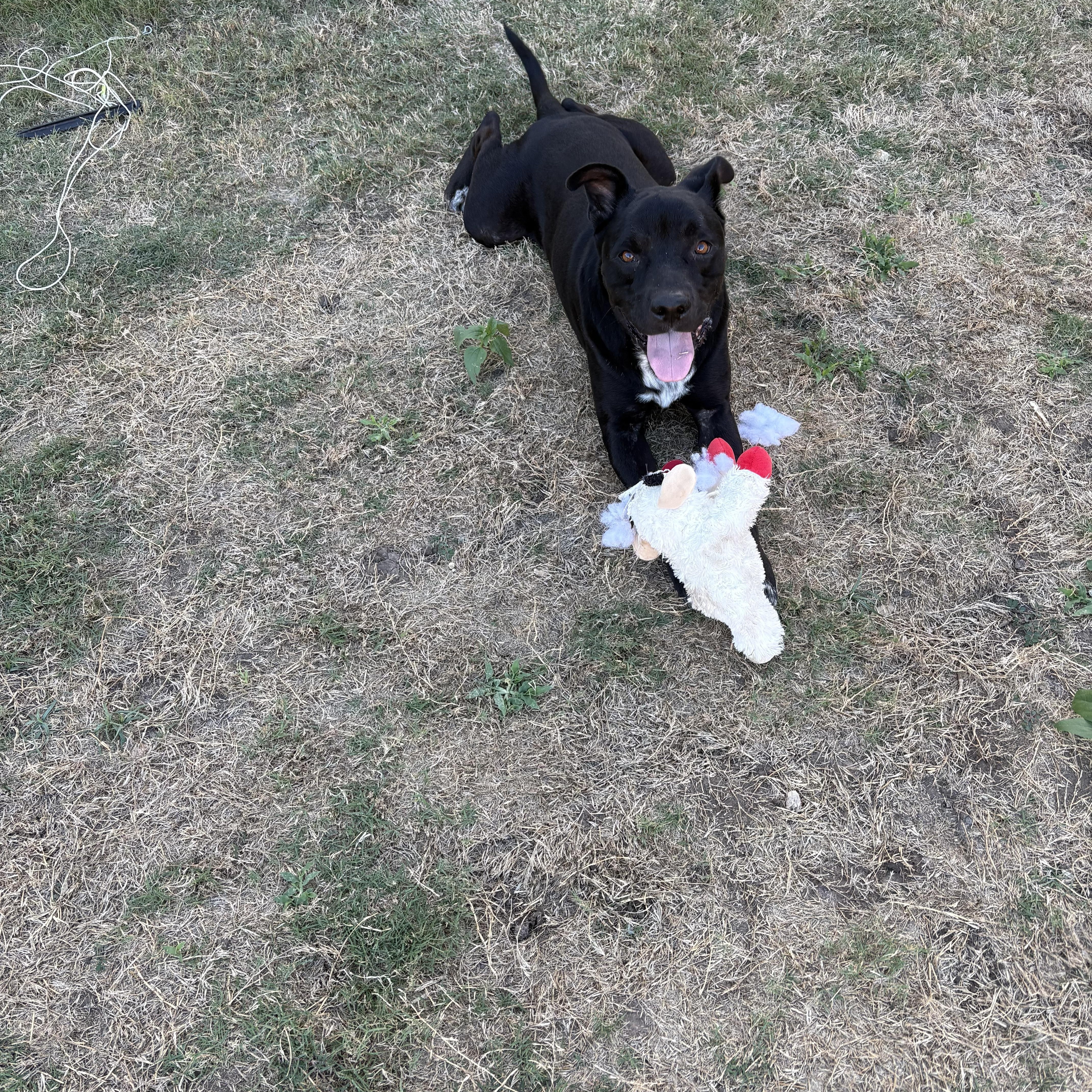 Baby Boy thumbnail 3