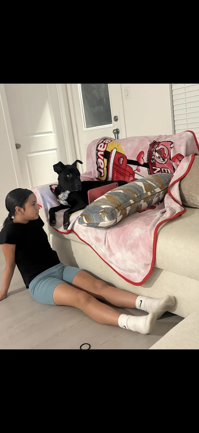 A senior medium-sized male Black Labrador Retriever dog named Baby Boy for adoption in Mico, TX