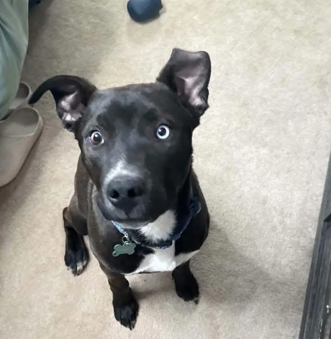 Duncan