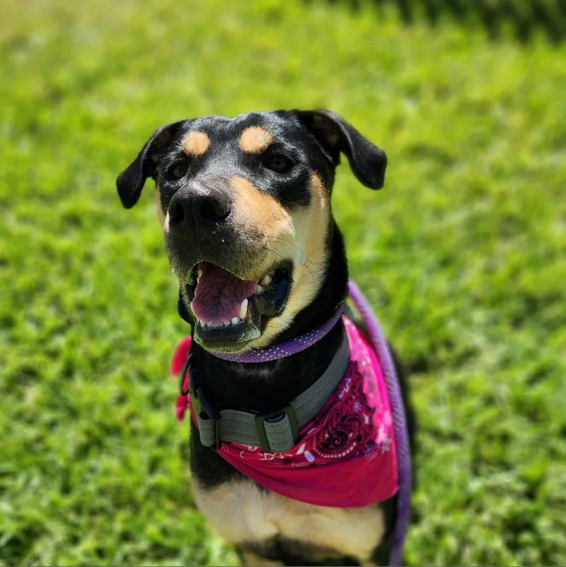 Reyna Em thumbnail 2