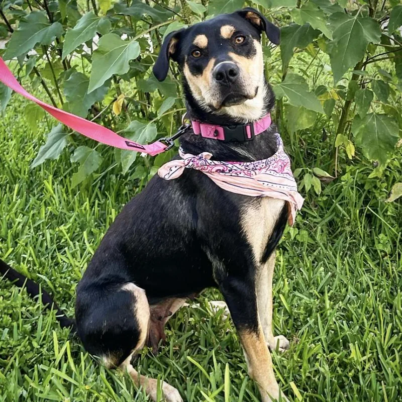 Reyna Em thumbnail 3