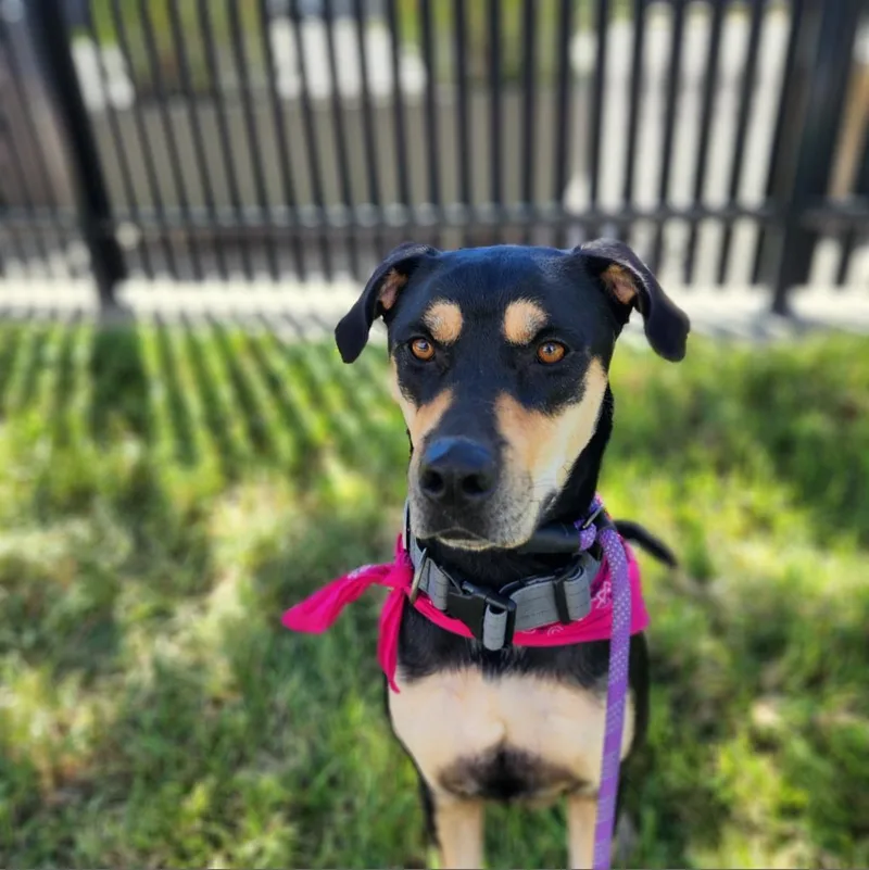 Reyna Em thumbnail 4