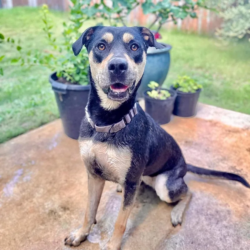 Reyna Em thumbnail 5