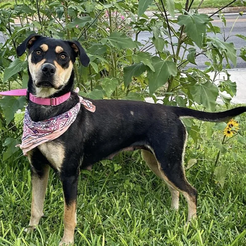 Reyna Em thumbnail 6