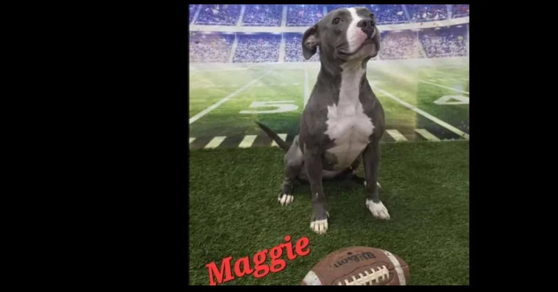 Maggie thumbnail 3