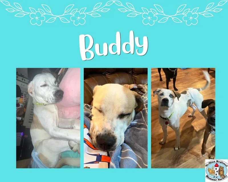 Buddy thumbnail 3