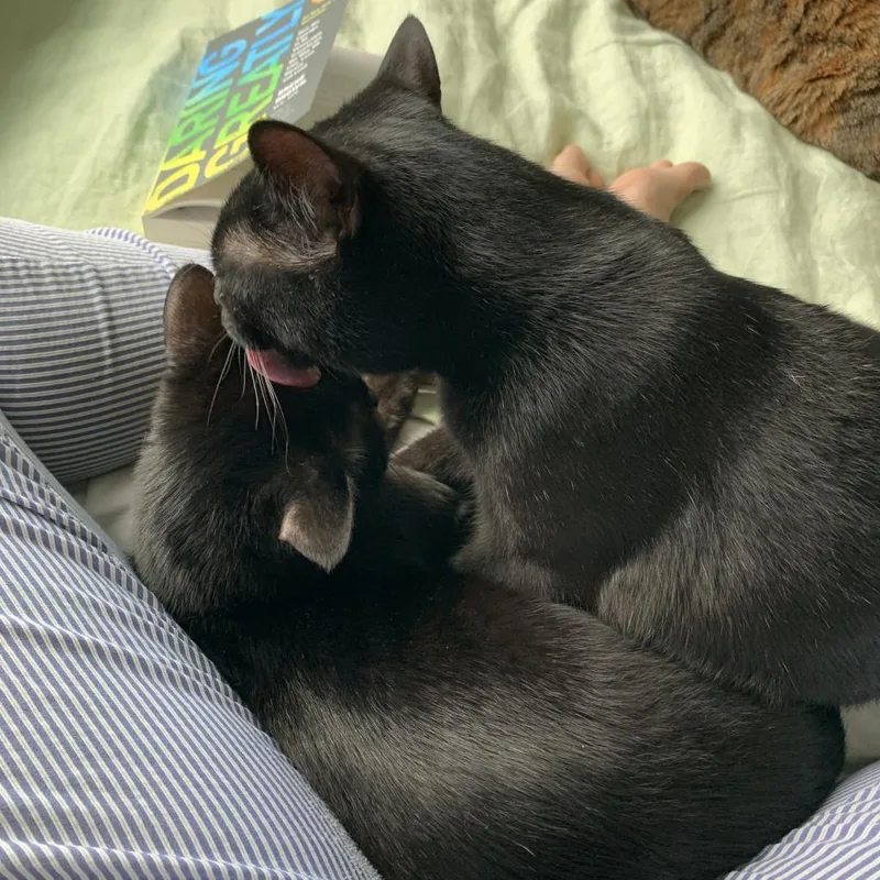 Franklin thumbnail 3