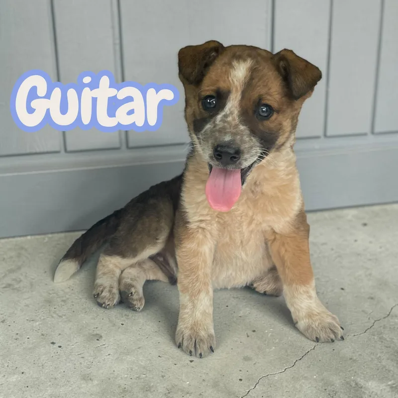 Guitar thumbnail 2
