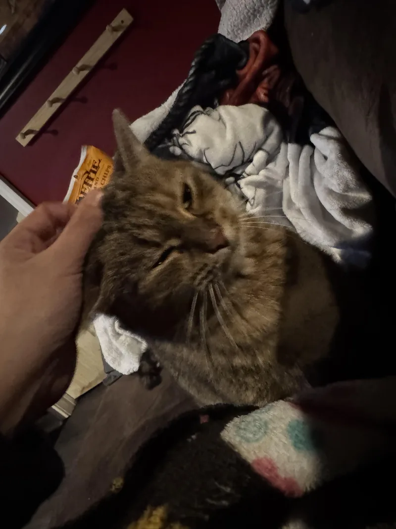 Lucy thumbnail 4