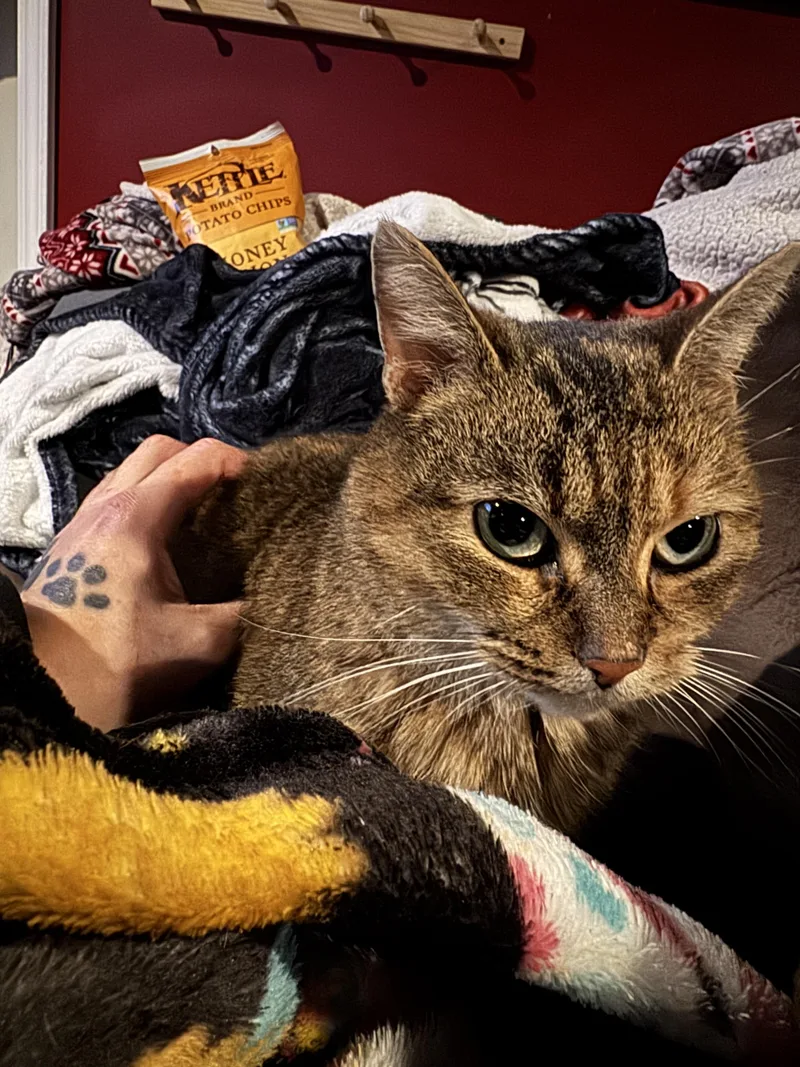 Lucy thumbnail 5